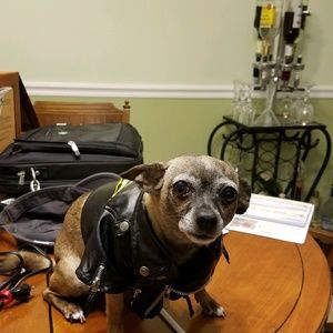 Meet your Posher, Rosemary